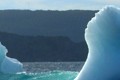 Iceberg off St. John's